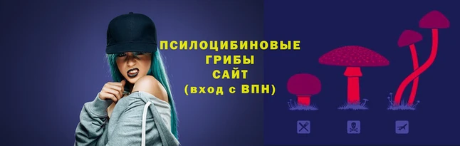 бутират Ельня