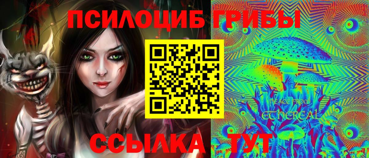 Петрозаводск  Псилоцибиновые грибы Cubensis  Вход с VPN 