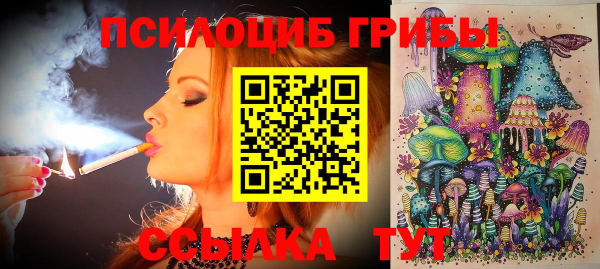 Псилоцибиновые грибы Magic Shrooms Петрозаводск