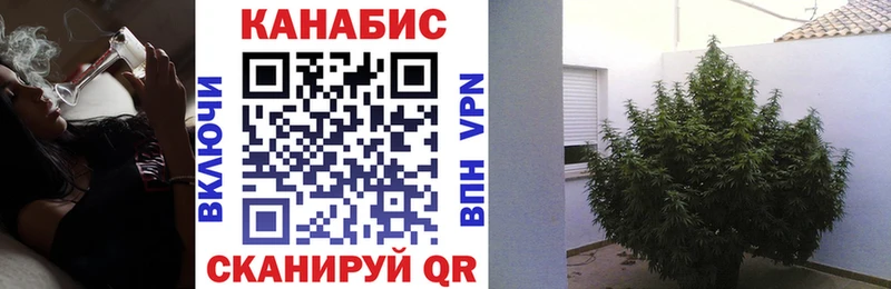 Каннабис SATIVA & INDICA  мега ссылка  Петрозаводск  наркота 